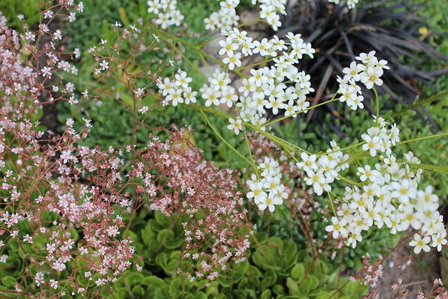 乎并不是无 乎并不是无