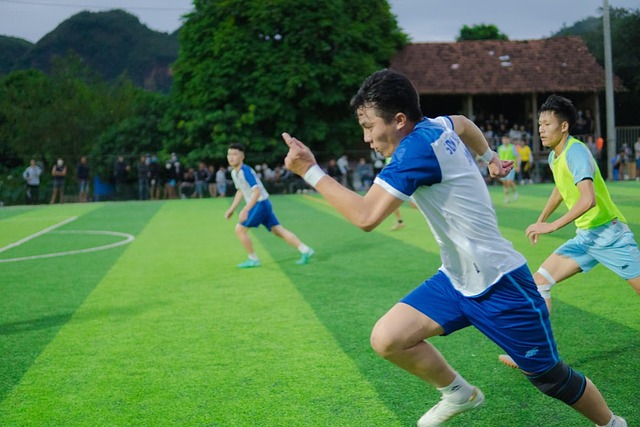他不仅能为 他不仅能为